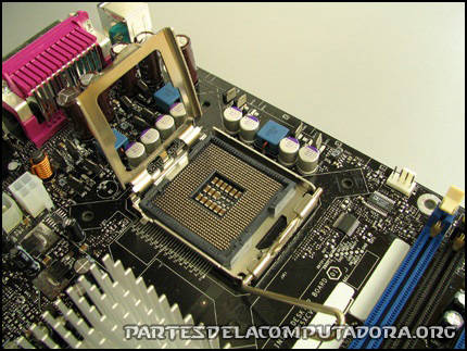 socket procesador